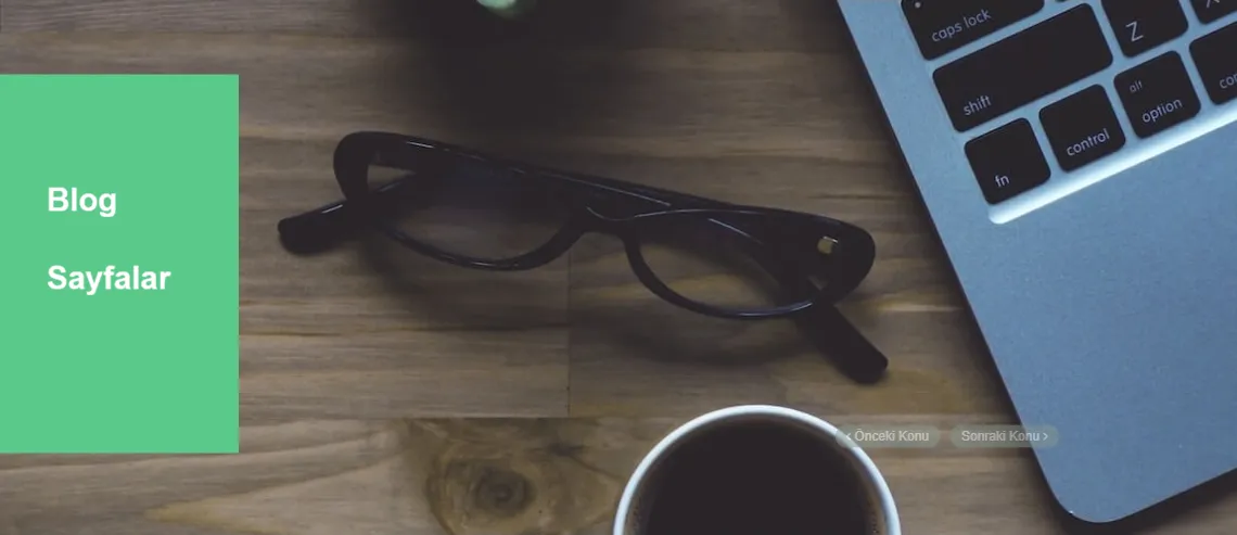 Bebekli Evlerde Böcek İlaçlama Nasıl Yapılmalıdır?