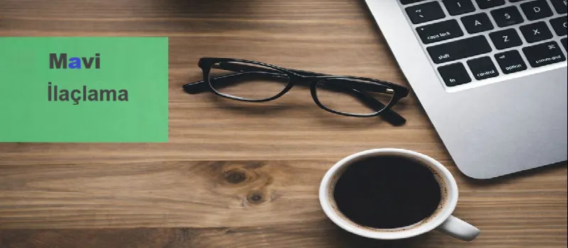 Ev İçin Böcek İlaçlama Rehberi: Güvenli ve Etkili Yöntemler